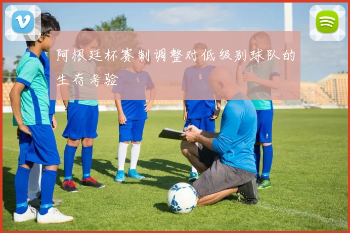 阿根廷杯赛制调整对低级别球队的生存考验