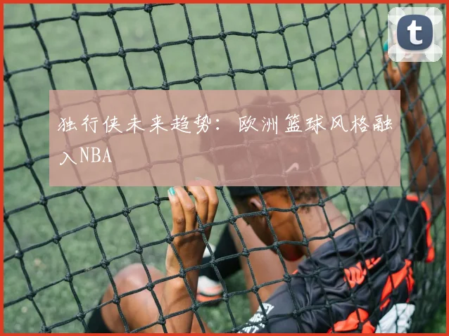 独行侠未来趋势：欧洲篮球风格融入NBA
