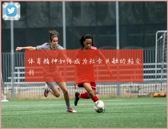 体育精神如何成为社会共融的粘合剂